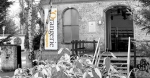 Orangerie @ Theater im Volksgarten
